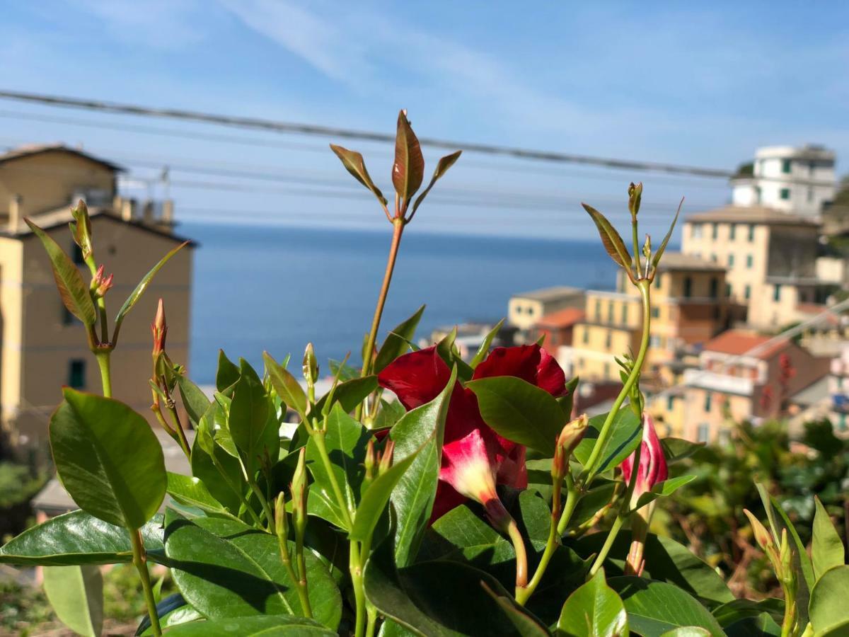 מלון ריומאג'ורה Cinque Terre Coast To Coast מראה חיצוני תמונה